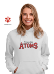 AtomsMerch Atoms Logo - Heavy Gildan Hoodie on Model